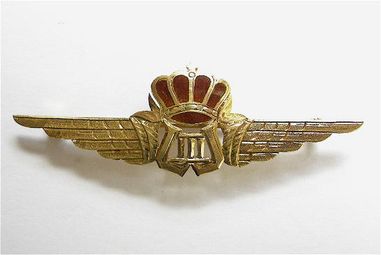 Belgium Air Force gold pilot wing pin brooch